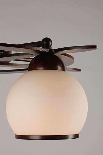 Потолочная люстра Fronteira OML-50507-05