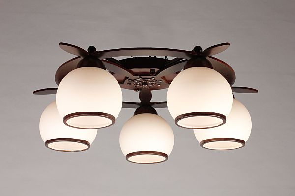 Потолочная люстра Fronteira OML-50507-05