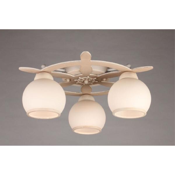 Потолочная люстра Fronteira OML-50517-03