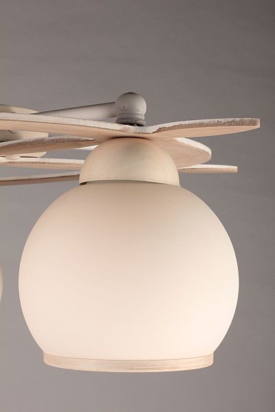 Потолочная люстра Fronteira OML-50517-05