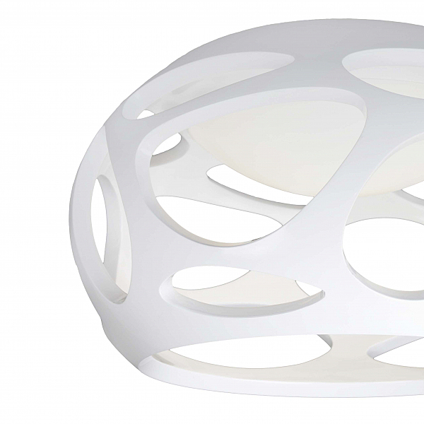 Светильник потолочный ORGANICA 5142