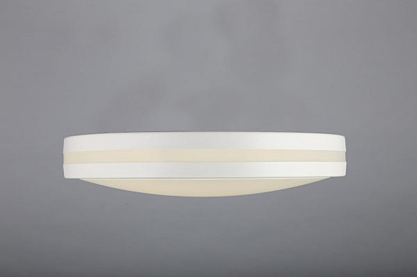 Потолочная люстра Barnes OML-43407-34