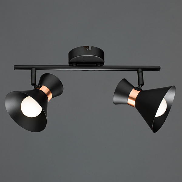 Светильник спот Arte Lamp A1406AP-2BK