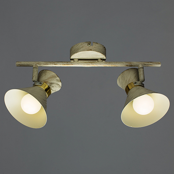 Светильник спот Arte Lamp A1406AP-2WG