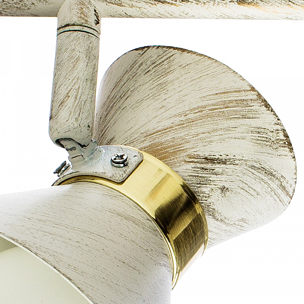 Светильник спот Arte Lamp A1406AP-2WG