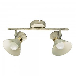 Светильник спот Arte Lamp A1406AP-2WG