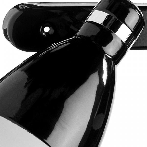 Светильник спот Arte Lamp A5049PL-3BK