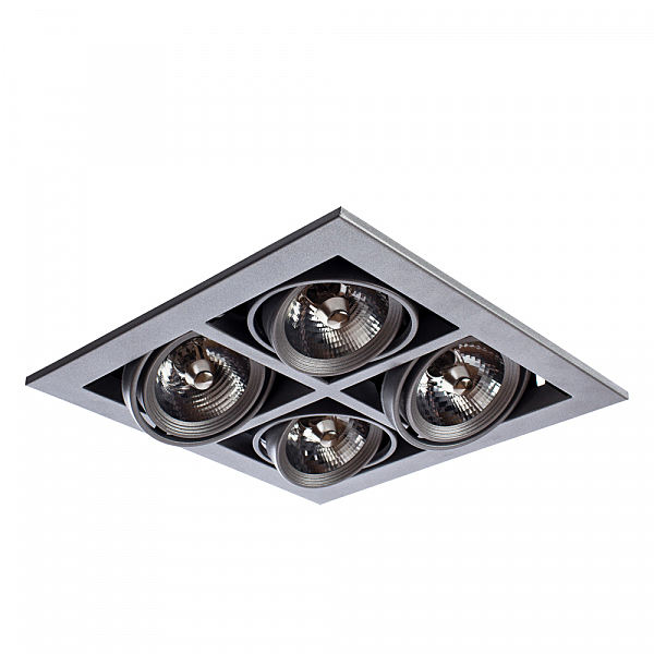 Карданный светильник Cardani A5930PL-4SI