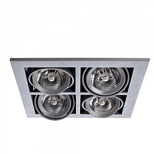 Карданный светильник Cardani A5930PL-4SI