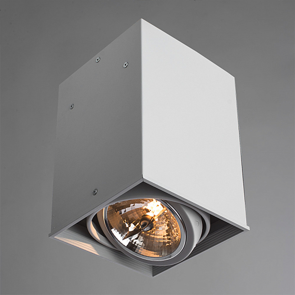 Светильник потолочный Arte Lamp A5936PL-1WH
