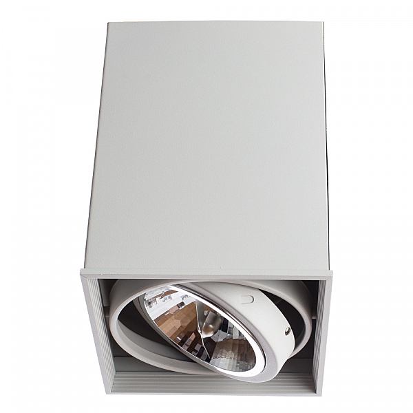 Светильник потолочный Arte Lamp A5936PL-1WH
