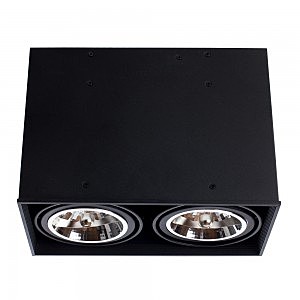 Светильник потолочный Arte Lamp A5936PL-2BK