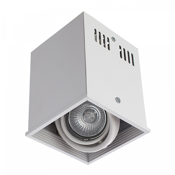 Светильник потолочный Arte Lamp A5942PL-1WH