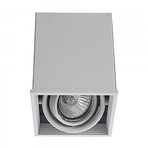 Светильник потолочный Arte Lamp A5942PL-1WH