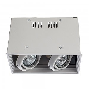 Светильник потолочный Arte Lamp A5942PL-2WH