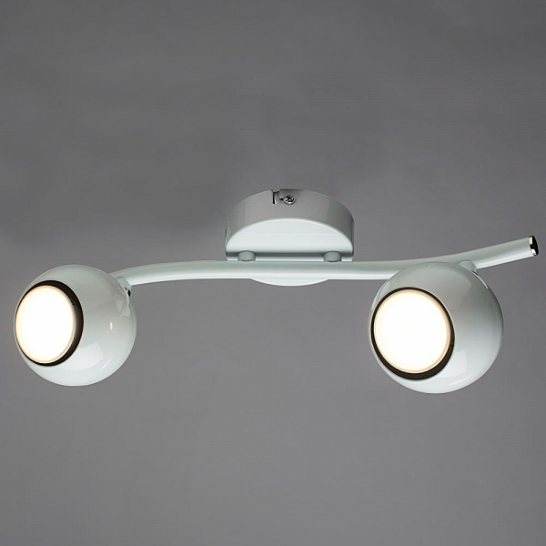 Светильник спот Arte Lamp A6251PL-2WH