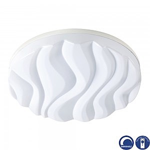 Светильник потолочный ARENA 5040