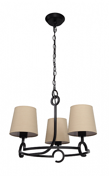 Подвесная люстра ARGI 5211