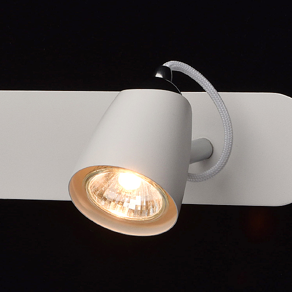 Светильник спот Астор 545021503