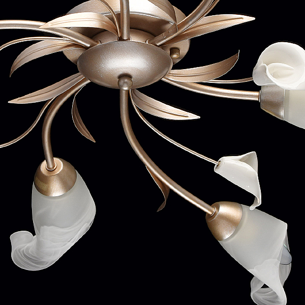 Потолочная люстра Восторг 242016306