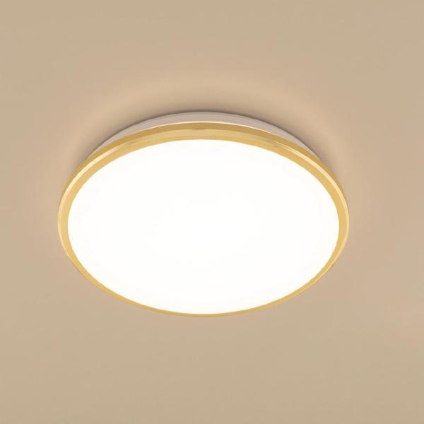 Светильник потолочный Луна CL702222W