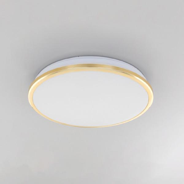 Светильник потолочный Луна CL702222W