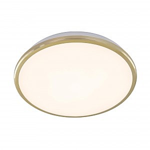 Светильник потолочный Луна CL702222W