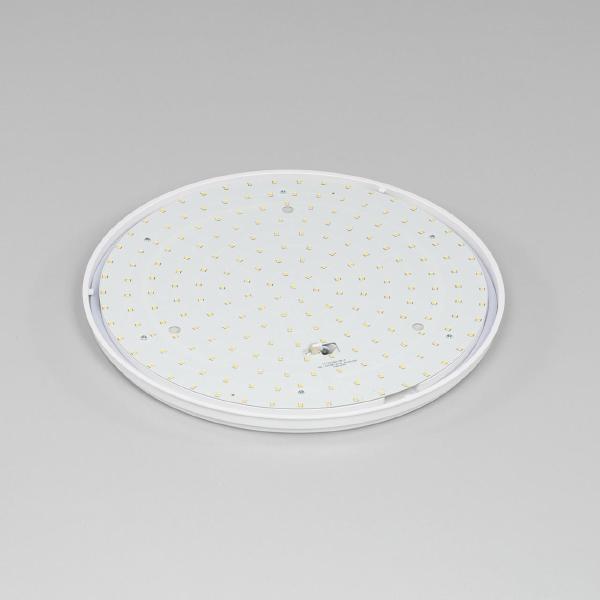 Светильник потолочный Луна CL702301W