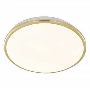 Светильник потолочный Луна CL702302W