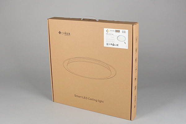 Светильник потолочный Orion OML-43107-60