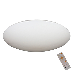 Светильник потолочный Berkeley OML-43007-100