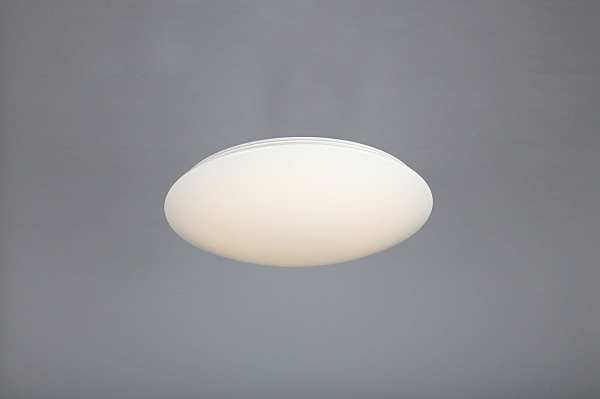 Светильник потолочный Berkeley OML-43007-50