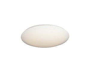 Светильник потолочный Berkeley OML-43007-50