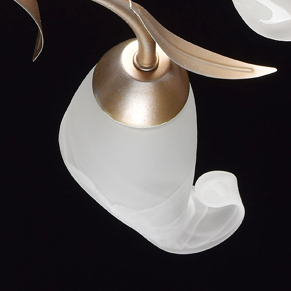 Потолочная люстра Восторг 242016205