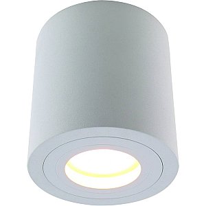 Светильник потолочный GALOPIN 1460/03 PL-1