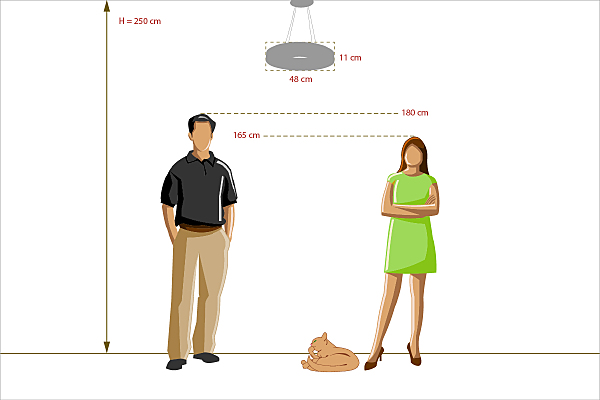 Подвесная люстра Норден 660012101
