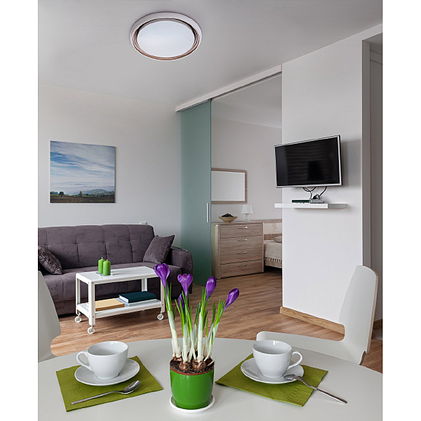 Светильник потолочный Ривз 674011901