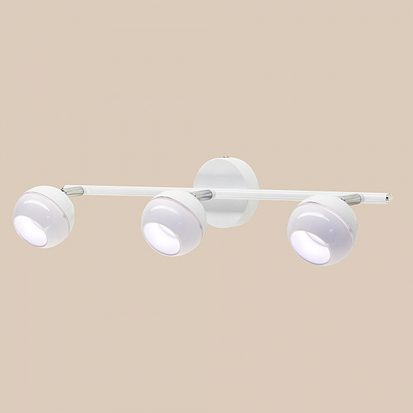 Светильник спот Раймонд CL555530