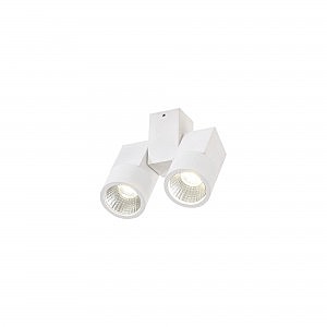 Светильник спот Дубль CL556100