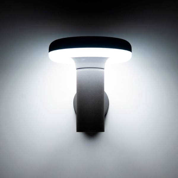 Уличный настенный светильник Citilux CLU01W