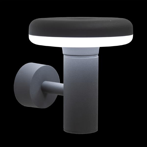 Уличный настенный светильник Citilux CLU01W