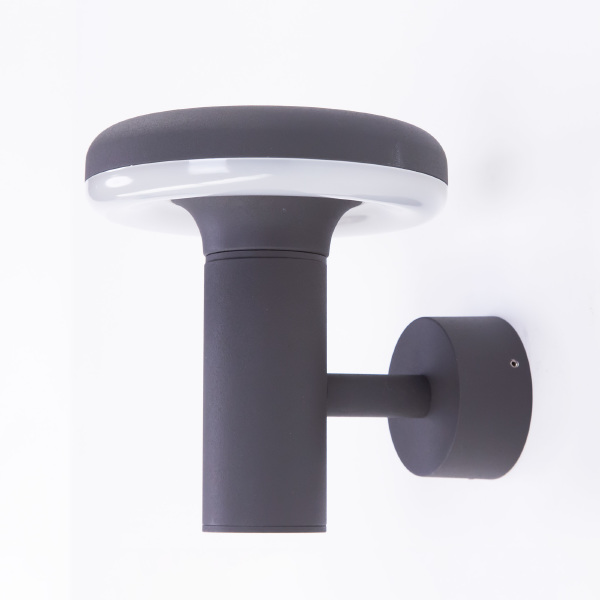 Уличный настенный светильник Citilux CLU01W