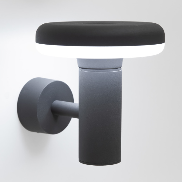 Уличный настенный светильник Citilux CLU01W