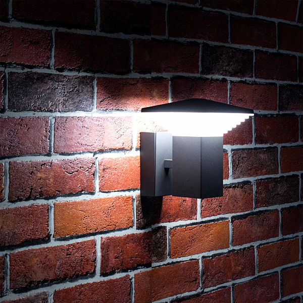 Уличный настенный светильник Citilux CLU02W