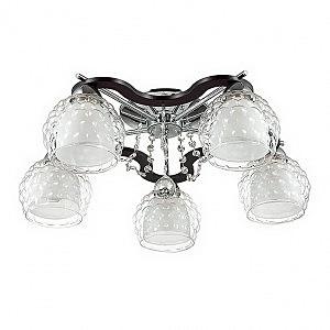 Потолочная люстра Ampolla 3081/5C