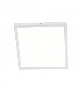 Светильник потолочный Flashled 1349-24C