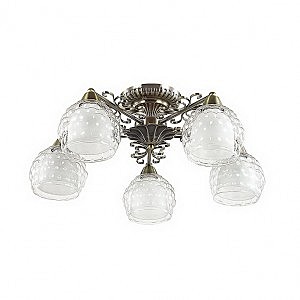 Потолочная люстра Ampolla 3106/5C