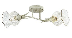 Потолочная люстра Rozetta 3108/2C