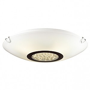 Светильник потолочный Funken 1694-2C