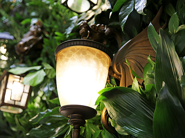 Уличный настенный светильник Dragon 1717-1W